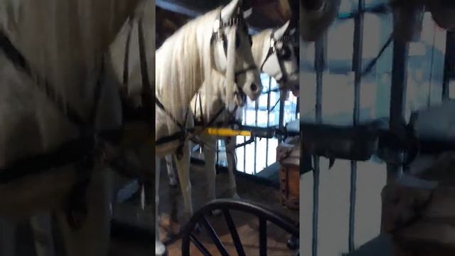 Музей Рахми Коча Стамбул 2 часть смотреть онлайн