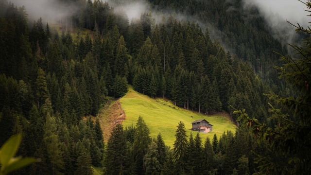 Музыка для цигун и тайцзицюань #тайцзицюань #цигун смотреть онлайн