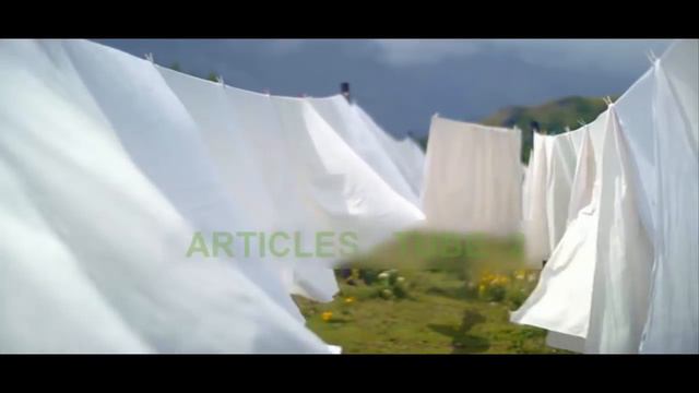 Why you should never dry laundry indoors смотреть онлайн