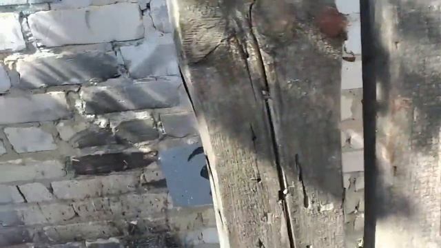 Гениальные руководители 21 века! смотреть онлайн