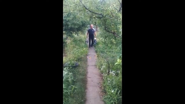 На даче летом в 2017 году смотреть онлайн