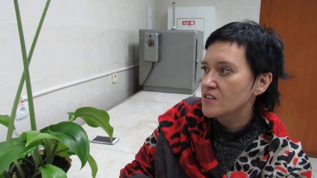 ЭУХАРИС (Амазонская лилия). Опыт успешного ухода более 30 лет. смотреть онлайн