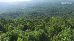 Значение имени Никита: карма, характер и судьба