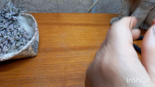 Весенняя сакура