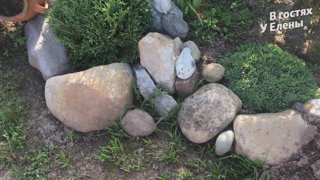 ЖИЗНЬ В ДЕРЕВНЕ. ЗАБОЛЕЛА. ПРОБЛЕМНЫЙ УЧАСТОК. НЕ ДАЮТ СВЕТ.БУСИНКА И КРОТ. ЧАСТЬ 1. смотреть онлайн