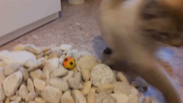 Коврик для ванны из камней смотреть онлайн