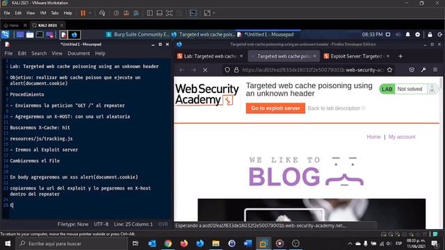 Lab Targeted web cache poisoning using an unknown header смотреть онлайн