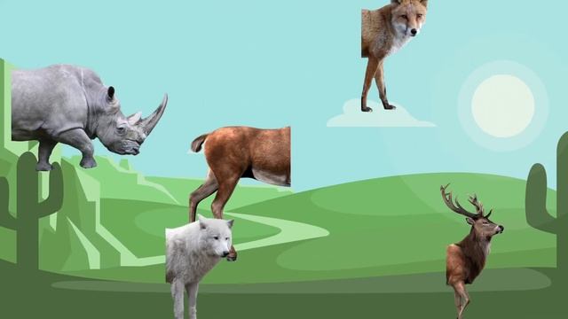 Узнаем животных по частям тела | Животные для детей | Learn Animals with Wrong Heads смотреть онлайн