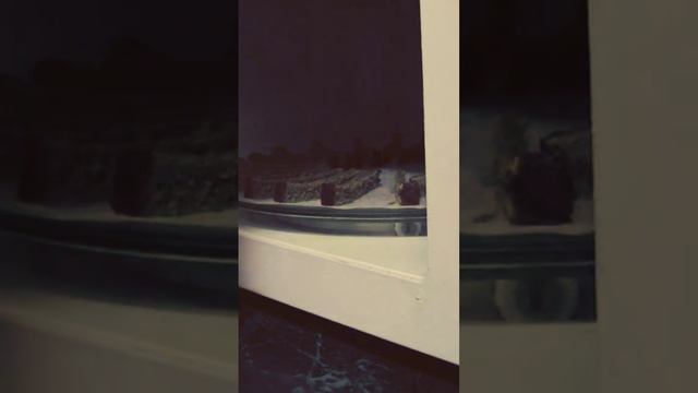 Вкусная пища для ума и души