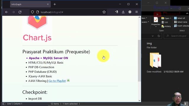 Infographic Report 01 Intro and Prequisite | Chart JS Tutorial смотреть онлайн