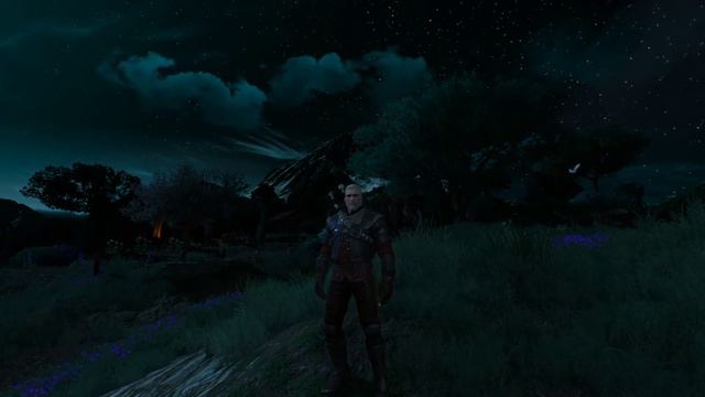 Standing in Corvo Bianco with Geralt. CHILL/SLEEP/STUDY[1HOUR] смотреть онлайн