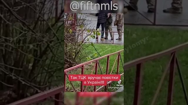 Скрутили заряжающего в леопард смотреть онлайн