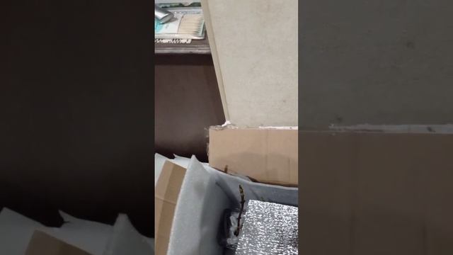 Саженцы крупнолистной гортензии с Авито. Получила 03.02.2024. Как дошли. смотреть онлайн