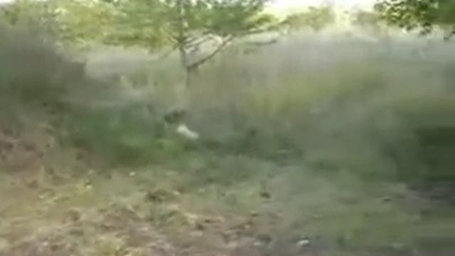 хойна3 смотреть онлайн