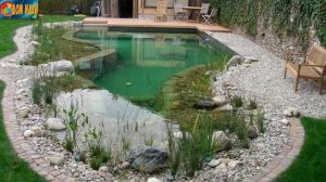 Обустройство пруда на дачном участке