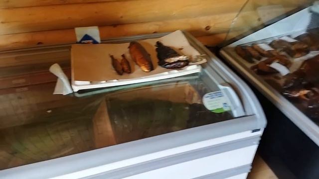 ПОЕХАЛИ ЗА БРОЙЛЕРОМИ И КУПИЛИ .....................