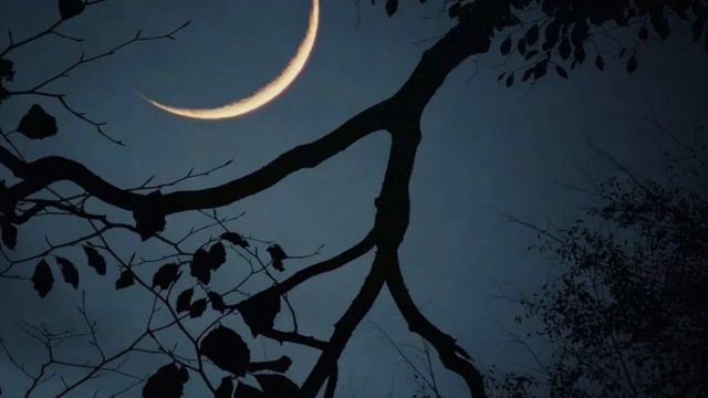 ♫. David Garrett feat. David Foster - Chopin-«Nocturne» смотреть онлайн