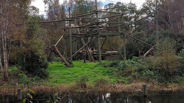 A Walking Tour of Safari Park. Blair Drummond Safari Park. Stirling.Scotland смотреть онлайн