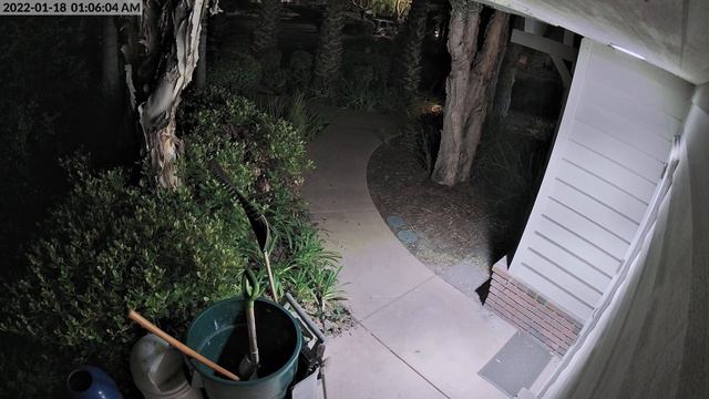 Here Kitty Kitty! смотреть онлайн