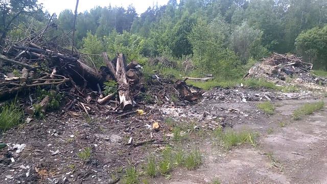 Работа Госадмтехнадзора Московской области в Орехово-Зуевском районе: борьба со стихийными свалками смотреть онлайн