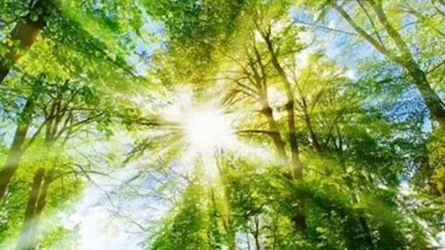 Очищение в лучах света