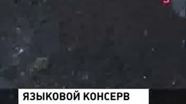 На Аляске диалект русского языка смотреть онлайн