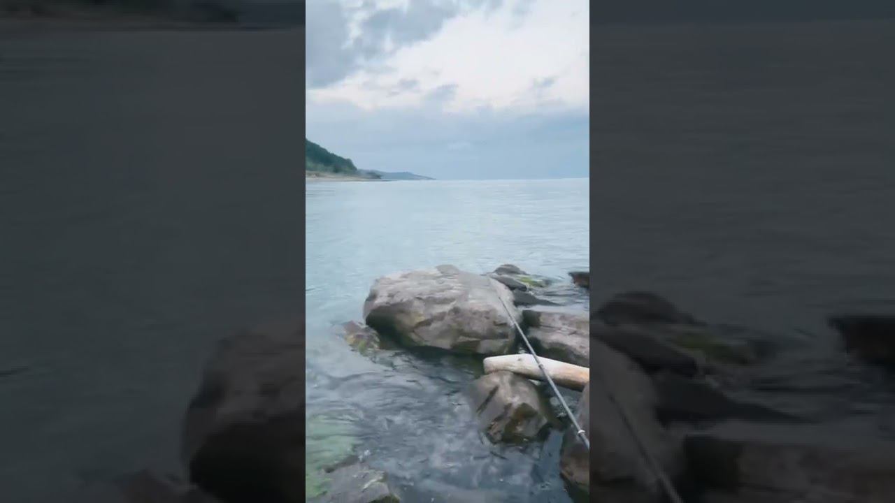 Морская рыбалка в Вардане. Сочи. смотреть онлайн