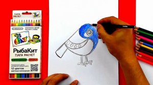 Как нарисовать СИНИЦУ рисуем прицу карандашами РыбаКит