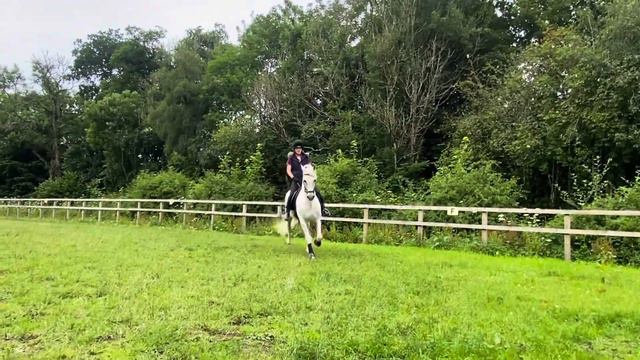 AC Horse Care Oatridge collage Madison Davis evidence video смотреть онлайн
