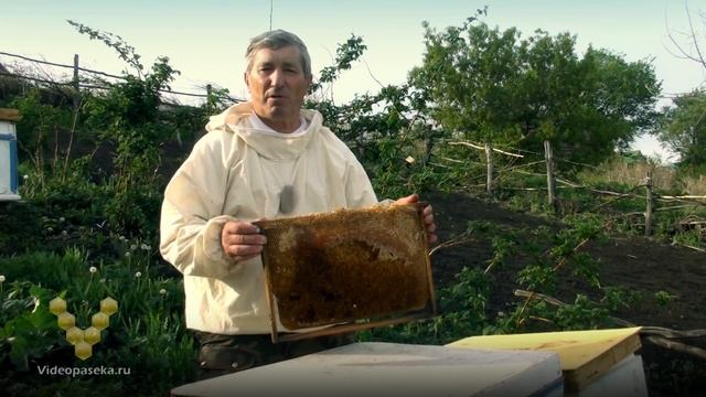 Перга про запас смотреть онлайн