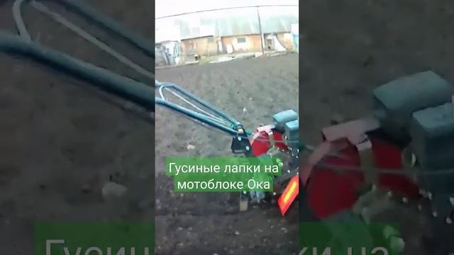 Какие фрезы на мотоблок Ока лучше? смотреть онлайн