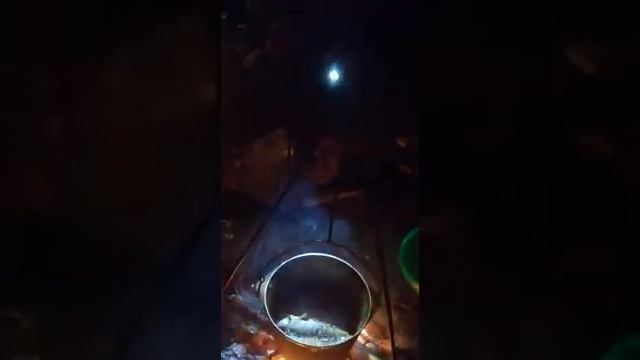 Рыбалка в Уламбеле Тараз смотреть онлайн