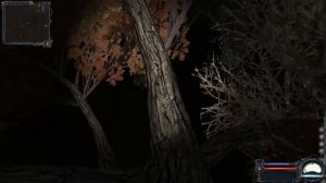 Чистое Небо Как достать тайник на дереве в Рыжем лесу. Сталкер секреты и лайфхак прохождение СТАЛКЕ