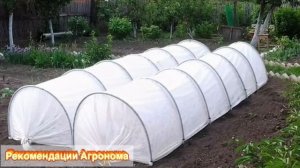 Парник з агроволокна