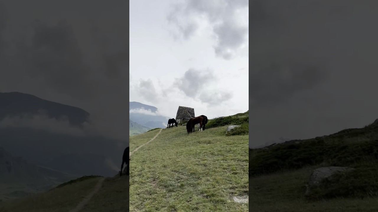 Город мертвых «Эль-Тюбю» #shorts #КабардиноБалкария смотреть онлайн