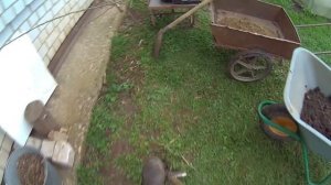 Посадить виноград и яблони.