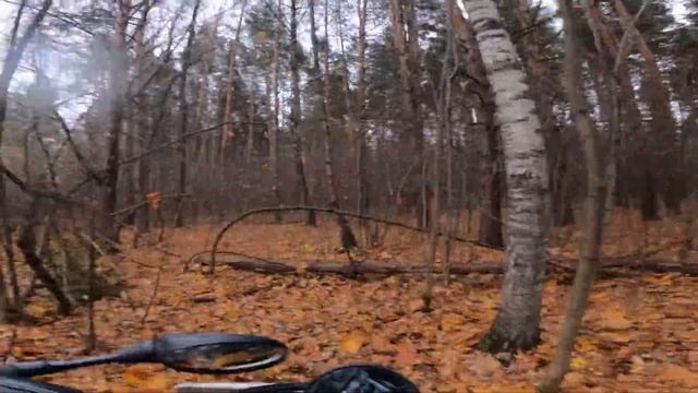 Покатушка в д. Жостово