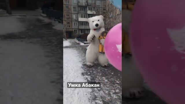 Милое поздравление от белого мишки🥰 #деньрождения #поздравление #веселье #абакан смотреть онлайн