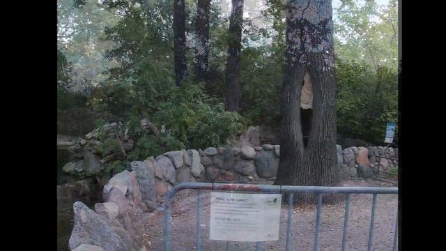 Берлинский зоопарк.