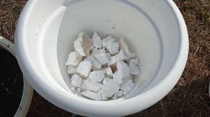 #как_гладиолусы_вырастить_в_горшках#посадка_луковичных Гладиолусы в горшках!Мастер-класс!.mp4