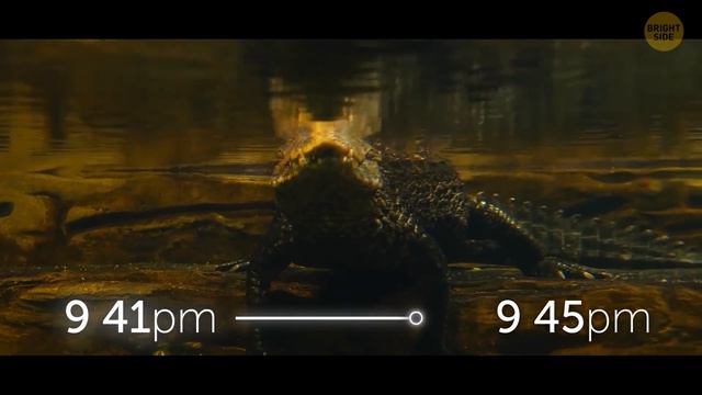 4.5 Billion Years in 24 Hours смотреть онлайн
