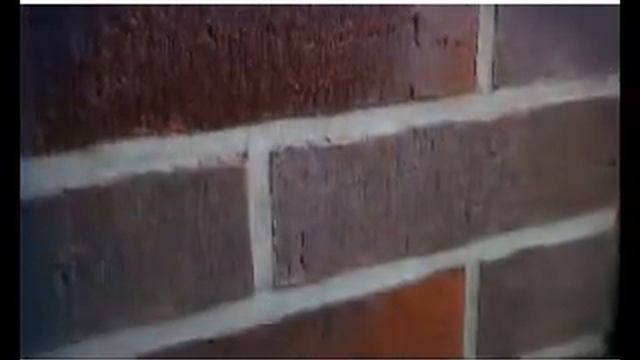 Первый сюжет о Финестре во Владивостоке смотреть онлайн