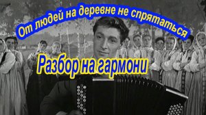 От людей на деревне не спрятаться || разбор на гармони