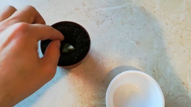 Киви дома смотреть онлайн