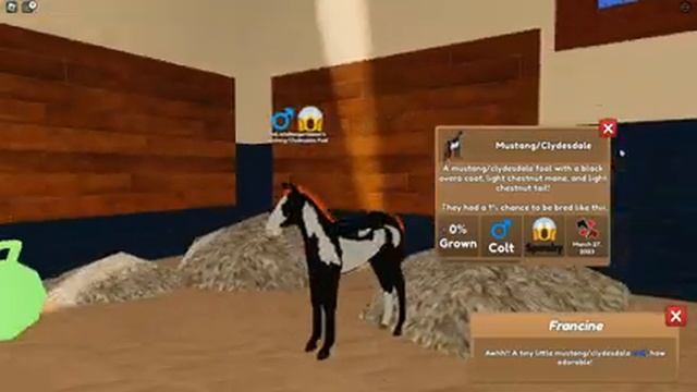 More CLYDESDALE coats?! Wild Horse Islands / Roblox смотреть онлайн