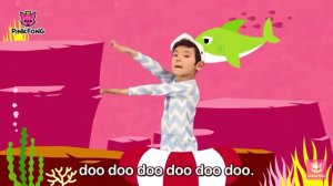 Акуленок туруру