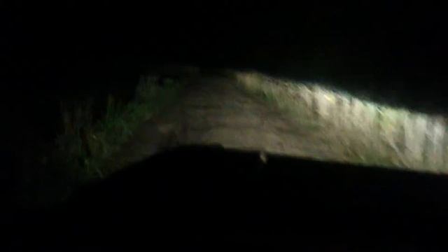 Новый ксенон. Свежее видео.