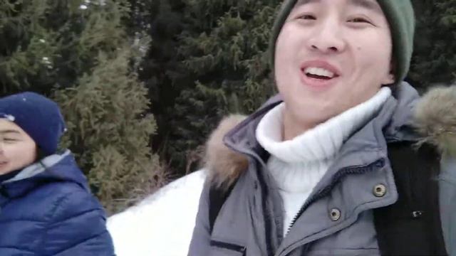 Косим под Бременских музыкантов) смотреть онлайн