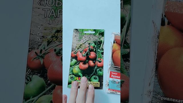 Купили Урожайные томаты для открытого грунта и теплицы! смотреть онлайн