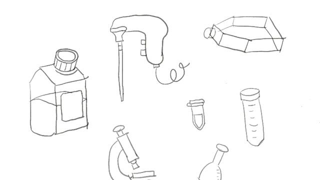 Frequent used items in a biology lab/iPad drawing смотреть онлайн